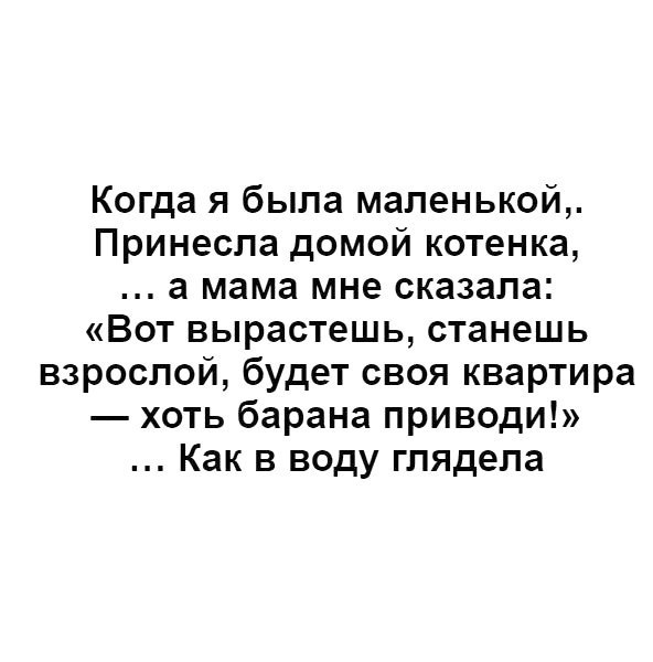 Когда я была маленькой Принесла домой котенка а мама мне сказала Вот вырастешь станешь взрослой будет своя квартира хоть барана приводи Как в воду глядела