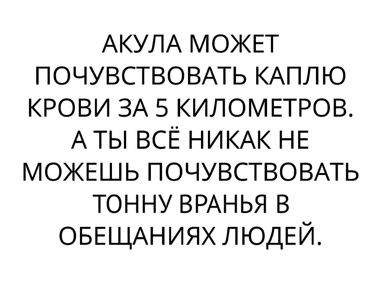 АКУЛА МОЖЕТ ПОЧУВСТВОВАТЬ КАПЛЮ КРОВИ ЗА 5 КИЛОМЕТРОВ АТЫ всЁ НИКАК НЕ МОЖЕШЬ ПОЧУВСТВОВАТЬ тонну ВРАНЬЯ в ОБЕЩАНИЯХ ЛЮДЕЙ