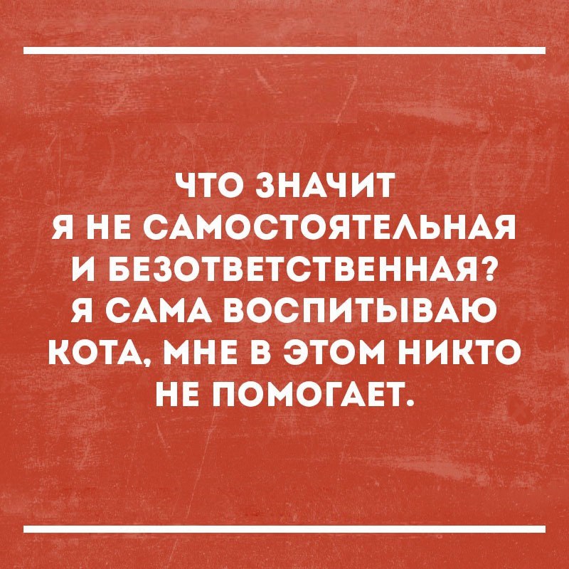 ЧТО ЗНАЧИТ Я НЕ САМОСТОЯТЕАЬНАЯ И БЕЗОТВЕТСТВЕННАЯ Я САМА ВОСПИТЫВАЮ КОТА МНЕ В ЭТОМ НИКТО НЕ ПОМОГАЕТ