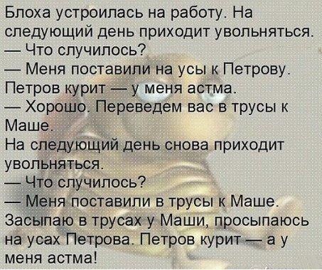 Блоха устроилась на работу На следующий день приходит увольняться Что случилось Меня поставили на усы к Петрову Петров курит у меня астма Хороше Переведём вас в трусы к Маше На следующий день снова Вприходит увольняться Что случилось ня поставили в трусы к Маше Засыпаю в трусах у Маши просыпаюсь на усах Петрова Петров курит а у меня астма