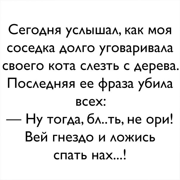 Сегодня усдышад как моя соседка додго уговаривада своего кота сдезть с дерева Посдедняя ее фраза убида всех Ну тогда бАть не ори Вей гнездо и АОЖИСЬ спать нах
