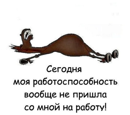 Сегодня моя работоспособность вообще не пришла со мной на работу