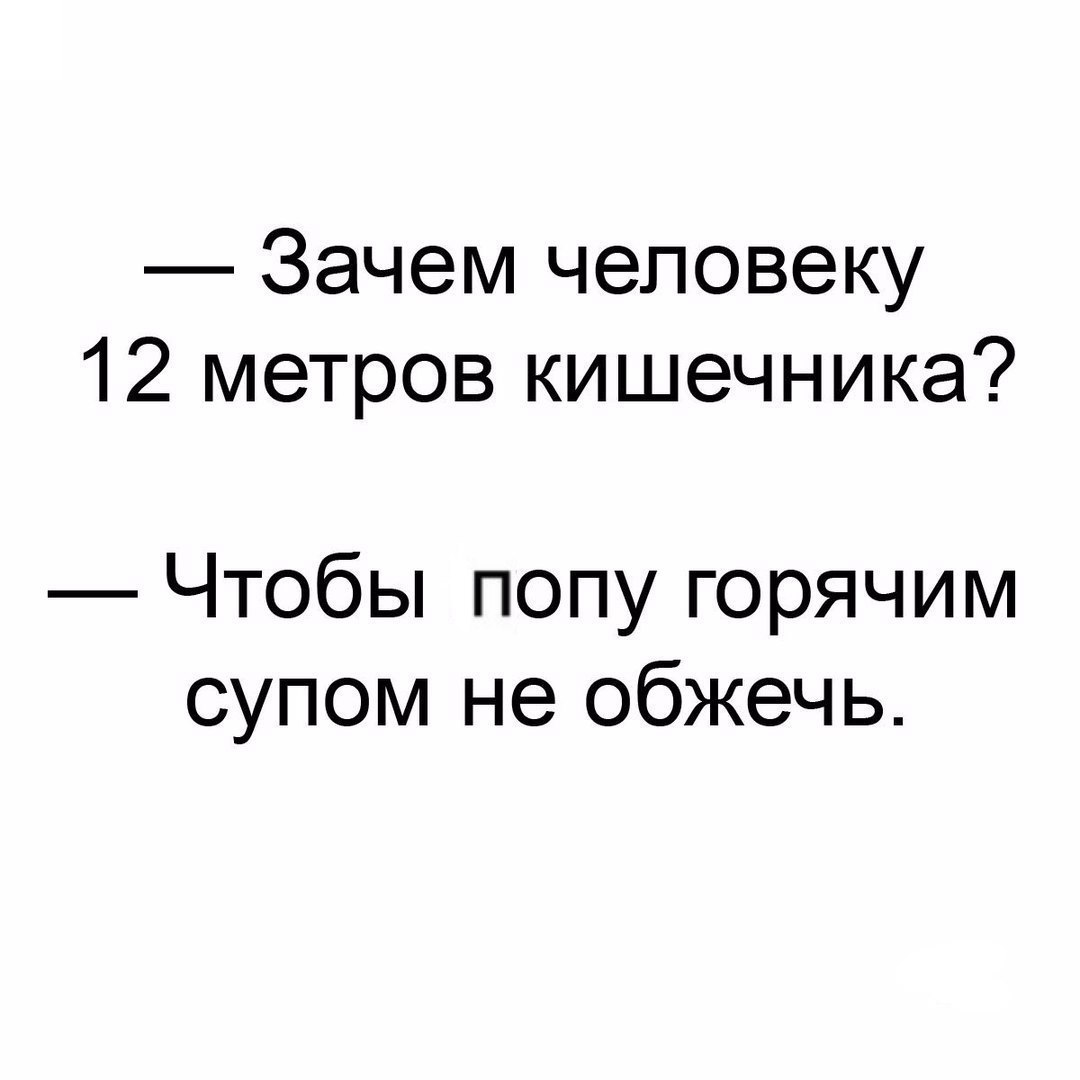 Зачем человеку 12 метров кишечника Чтобы попу горячим супом не обжечь