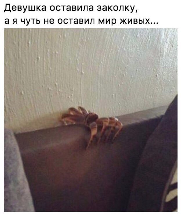 Девушка ОСТЭВИЛЭ ЗЭКОЛКУ 3 Я ЧУТЬ не ОСТЗВИЛ мир ЖИВЫХ