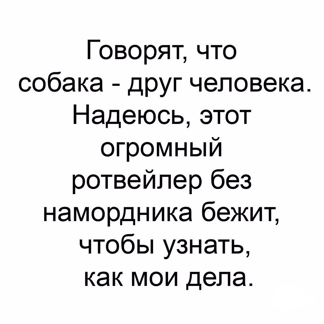 Говорят что собака друг человека Надеюсь этот огромный ротвейпер без намордника бежит чтобы узнать как мои дела