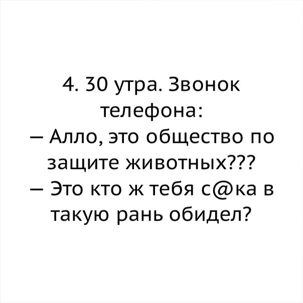 4 30 утра Звонок телефона Алло это общество по защите животных Это кто ж тебя ска в такую рань обидел
