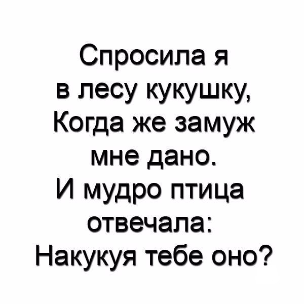Спросила я в лесу кукушку Когда же замуж мне дано И мудро птица отвечала Накукуя тебе оно