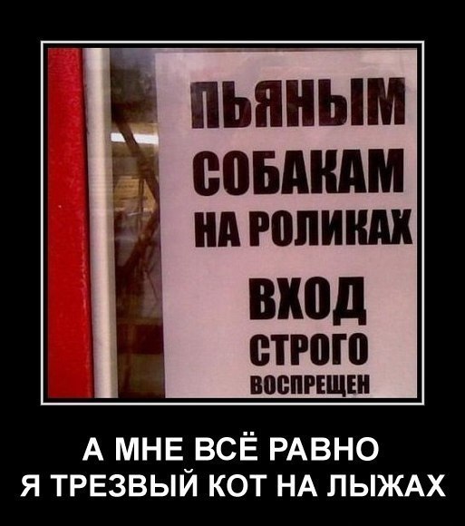 пБнным помним вход строю ВЩШРЕЩШ А МНЕ ВСЁ РАВНО Я ТРЕЗВЫЙ КОТ НА ЛЫЖАХ