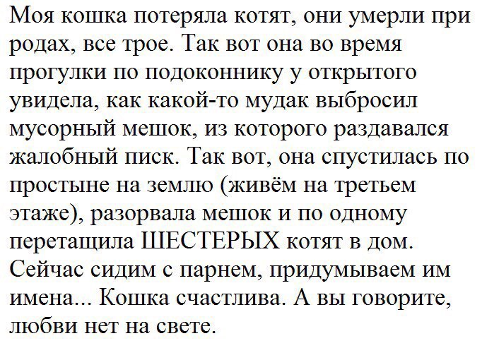 Моя кошка потеряла котят они умерли при родах все трое Так вот она во время прогулки по подоконнику у открытого увидела как какой то мудак выбросил мусорный мешок из которого раздавался жалобный писк Так вот она спустилась по простыне на землю живём на третьем этаже разорвала мешок и по одному переташила ШЕСТЕРЫХ котят в дом Сейчас сидим с парнем придумываем им имена Кошка счастлива А вы говорите 