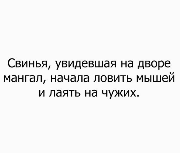 СВИНЬЯ УВИДЕВШЭЯ на дворе мангал НдЧдЛд ЛОВИТЬ МЫШЕЙ И ЛЭЯТЬ Нд ЧУЖИХ