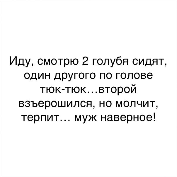 Иду смотрю 2 голубя сидят один другого по голове тюк тюквторой взъерошился но молчит терпит муж наверное