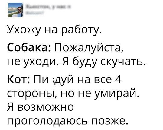 Ухожу на работу Собака Пожалуйста не уходи Я буду скучать Кот Пи дуй на все 4 стороны но не умирай Я возможно проголодаюсь позже