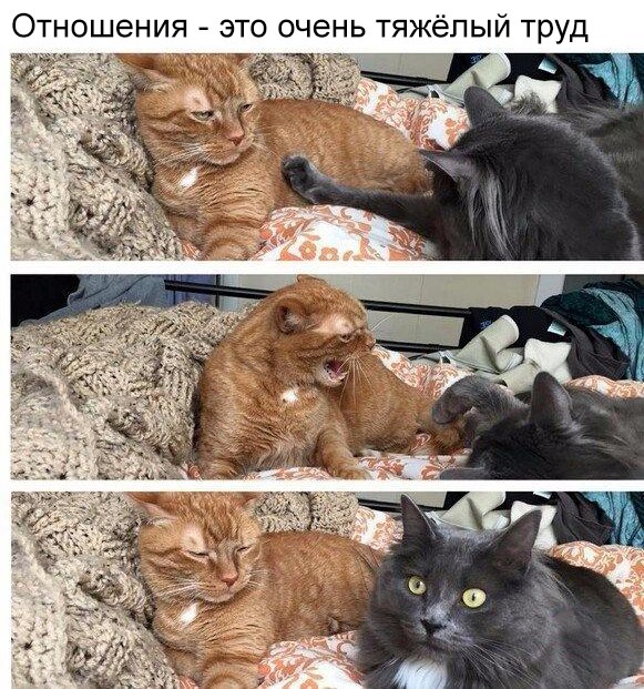 Отношения это очень тяжёлый труд