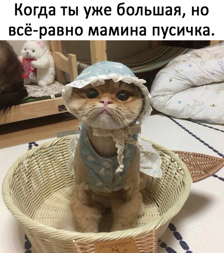 а К Ч И С у П 8 Н И М а м 0 Н В а 0 0 Н Я 3 Щ В Л 0 б е ж у Ы Т а Щ 0 к всё