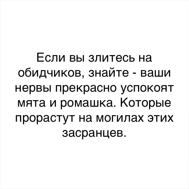 Если вы злитесь на обидчиков знайте ваши нервы прекрасно успокоят мята и ромашка Которые прорастут на могилах этих засранцев