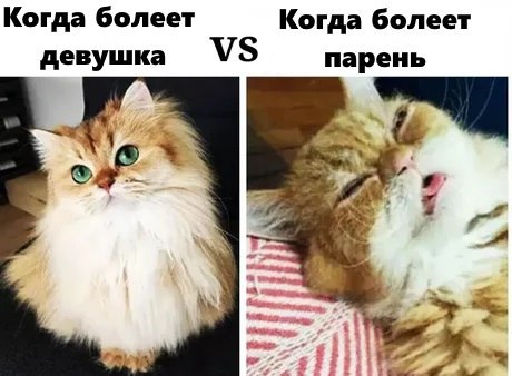 Когда болеет Когда болеет девушка 5 парень