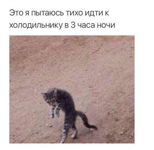 ЭТО Я пытаюсь ТИХО ИДТИ К ХОЛОДИЛЬНИКУ В 3 ЧЭСЭ НОЧИ