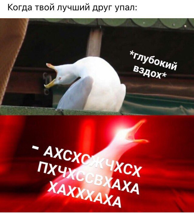 Когда твой лучший друг упал
