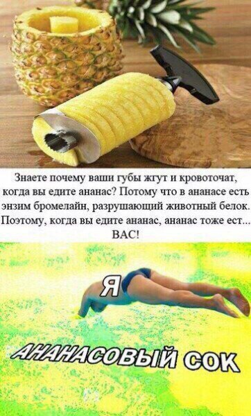 Зивпе почему выпи губи наук и кривого ш каш вн еше ананш Потому что в также есть эюии броиешйн ршрушлюший животный баш Пшющ когда вы едим ананас ананас тоже ест ВАС и