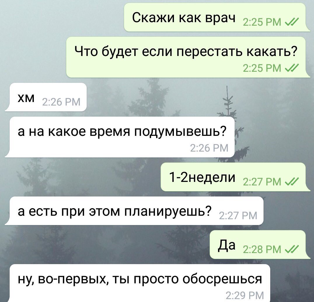 Скажи как врач 225 рм іх Что будет если перестать какать 225 рм ХМ 226 РМ ййййі _1 а на какое время подумывешь _ 226 РМ 1 2недели 227 РМ а есть при ЭТОМ планируешь 227 РМ ну во первых ты просто обосрешься 229 РМ