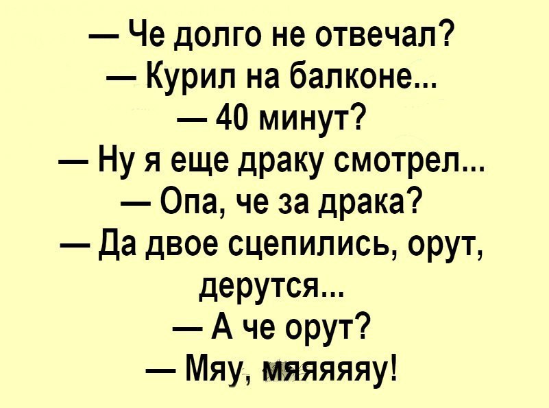 Че долго не отвечал Курил на балконе 40 минут Ну я еще драку смотрел Опа че за драка Да двое сцепипись орут дерутся А че орут Мяу мяяяяяу