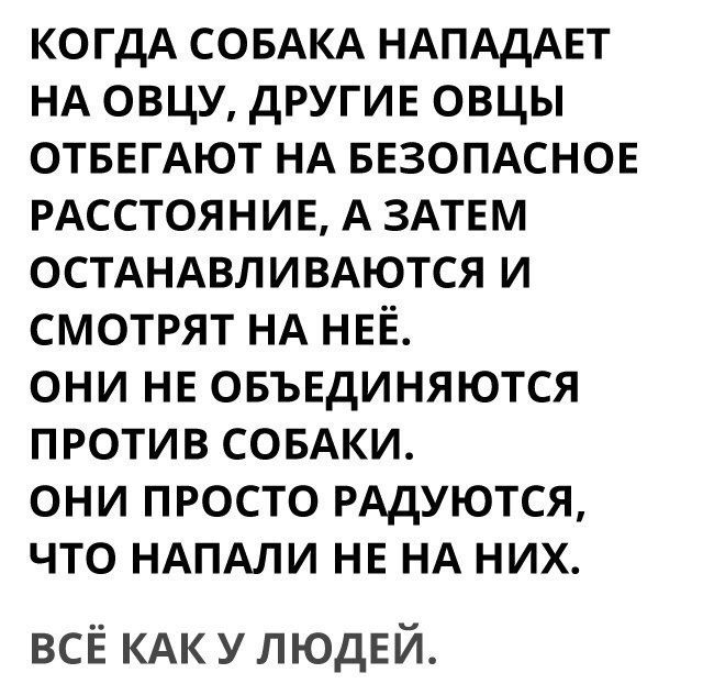 КОГДА СОБАКА НАПАДАЕТ НА овцу другив овцы ОТБЕГАЮТ НА БЕЗОПАСНОЕ РАССТОЯНИЕ А ЗАТЕМ ОСТАНАВЛИВАЮТСЯ и смотрят НА НЕЁ они НЕ овъвдиняются против СОБАКИ они просто РАДУЮТСЯ что НАПАЛИ НЕ НА них всЁ КАК у ЛЮДЕЙ