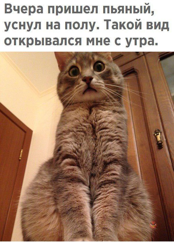 Вчера пришел пьяный уснул на полу Такой вид открывался мне с утра
