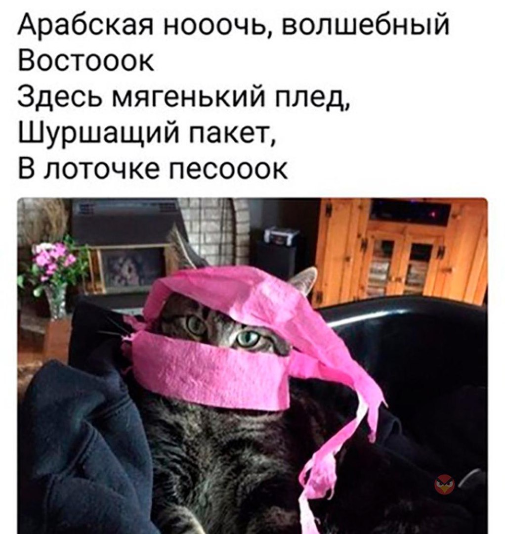 Арабская нооочь волшебный Востооок Здесь мягенький плед Шуршащий пакет В лоточке песооок