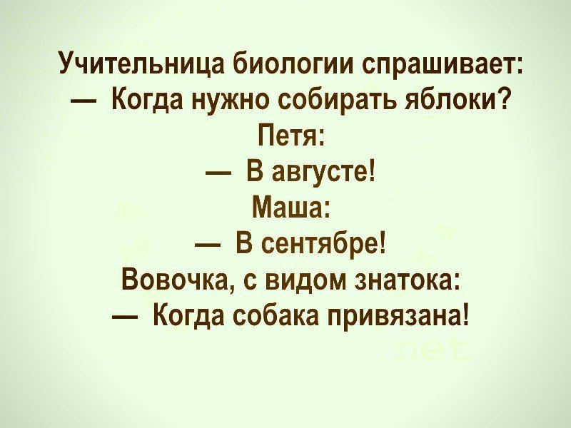 Учительница биологии спрашивает Когда нужно собирать яблоки Петя В августе Маша В сентябре Вовочка с видом знатока Когда собака привязана