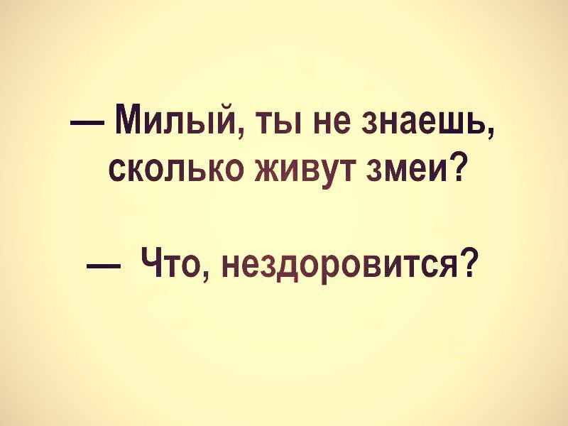 Милый ты не знаешь сколько живут змеи Что нездоровится
