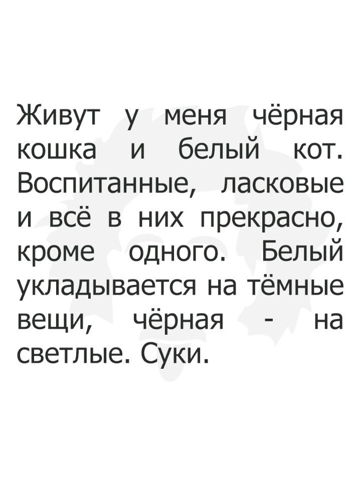 Живут у меня чёрная кошка и белый кот Воспитанные ласковые и всё в них прекрасно кроме одного Белый укладывается на тёмные вещи чёрная на светлые Суки