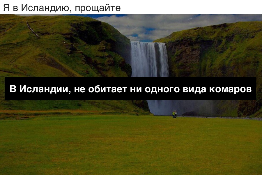В Исландии не обитает ни одного вида комаров
