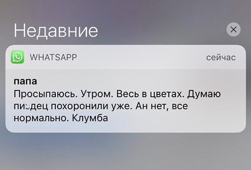 Недавние АНАТЗАРР папа Просыпаюсь Утром Весь в цветах думаю пиздец похоронили уже Ан нет все нормально Клумба