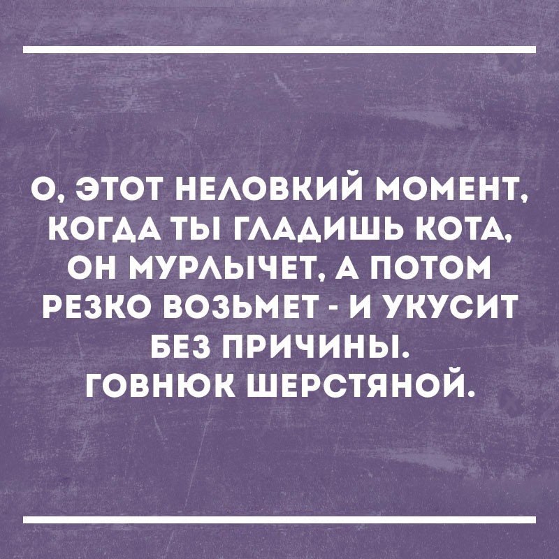 о этот НЕАОВКИЙ момвнт КОГАА ты ГАААИШЬ КОТА он мумычвт А потом рвзко возьмвт и укусит ввз причины говнюк шврстяной