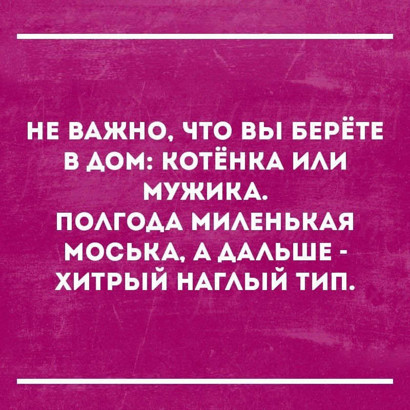 нв ВАЖНО что вы БЕРЁТЕ в дон КОТЁНКА ИАИ мужим ПОАГОАА мимгнькм МОСЬКА А АААЬЩЕ хитрый НАГАЫЙ тип