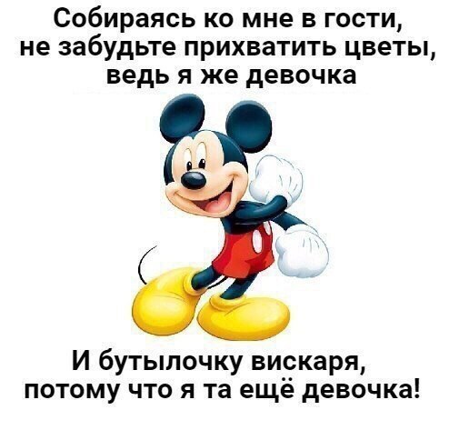 Собираясь ко мне в гости не забудьте прихватить цветы ведь я же девочка И бутылочку ви__каря потому что я та ещё девочка