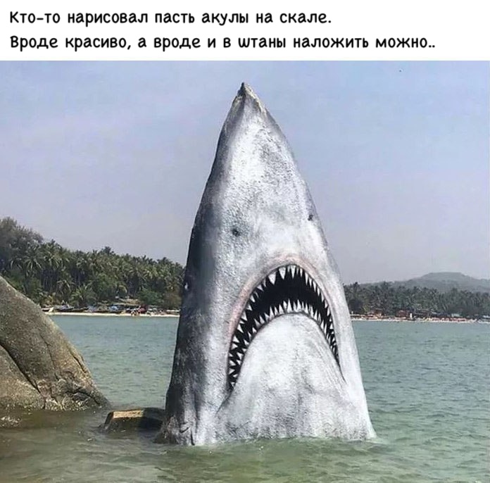 КТОТО НЗРИСОВЗЛ ПВСТЬ акулы на скале Вроде красиво а ВРОДЕ И В ШТЗНЫ НЗЛОЖИТЬ можно
