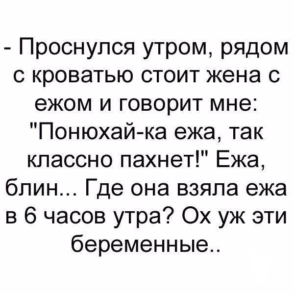 Проснулся утром рядом с кроватью стоит жена с ежом и говорит мне Понюхай ка ежа так классно пахнет Ежа блин Где она взяла ежа в 6 часов утра Ох уж эти беременные