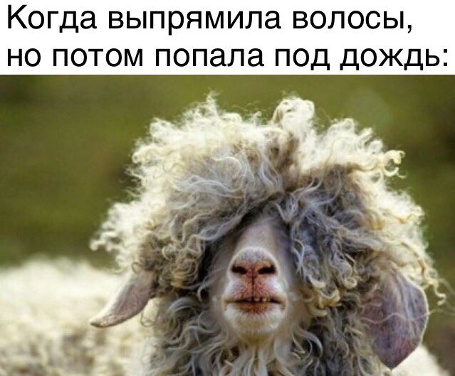 Когда выпрямила волосы но потом попала под дождь