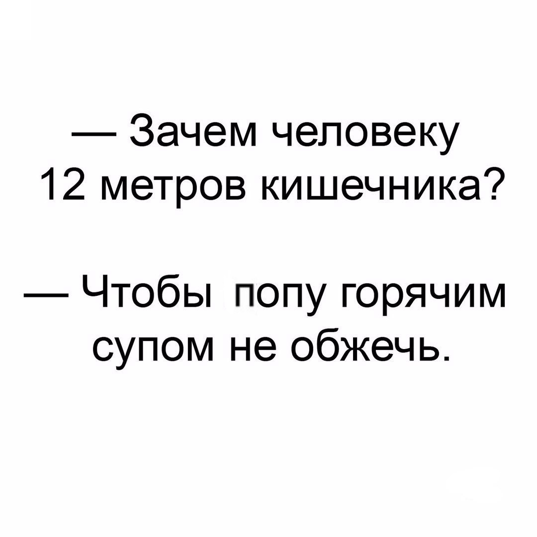 Зачем человеку 12 метров кишечника Чтобы попу горячим супом не обжечь