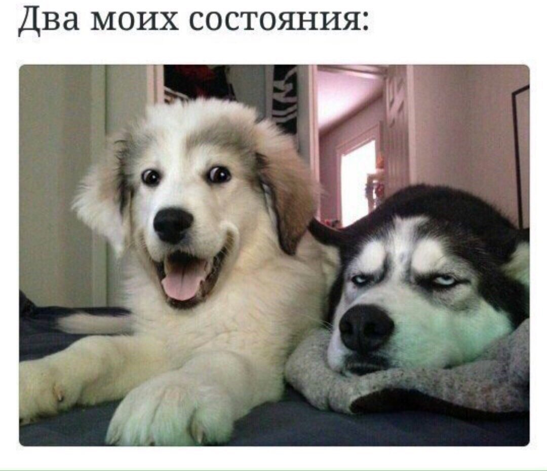 Два МОИХ СОСТОЯНИЯ