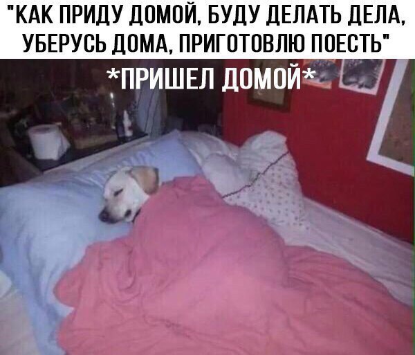 КАК ПРИДУ ДОМОЙ БУДУ ДЕЛАТЬ ДЕЛА УБЕРУСЬ ДОМА ПРИГОТОВЛЮ ПОЕСТЬ ПРИШЕЛ Л0М0Йл ьы ф