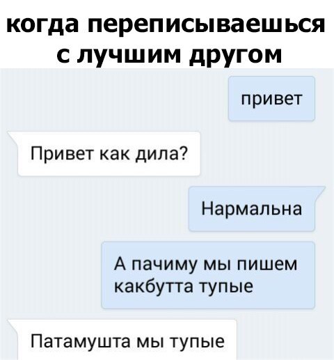 когда переписываешься с лучшим другом привет Привет как дипа Нармальна А пачиму мы пишем какбутта тупые Патамушта мы тупые