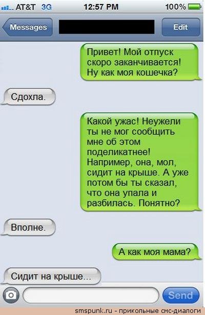 Атт зе 100Ш Привет Мой отпуск скоро заканчивается Ну как моя кошечка _ Сдохла _ Какай ужас Неужели ты не мог сообщить мне об этом поделикатиееі Например она мпп сидит на крыше А уже потом бы ты сказал что она упала и разбилась Понятно Вполне _ А как моя мама __ Сидит на крыше с втврыпк Пвикипьные снсдивпиги