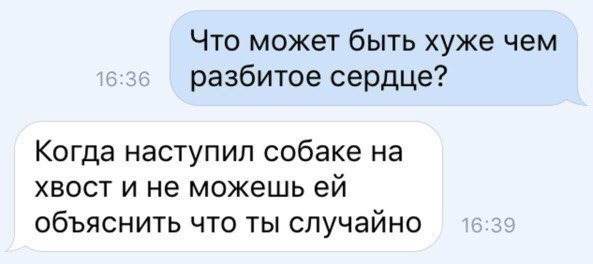 Что может быть хуже чем разбитое сердце Когда НЭСТУПИП собаке на ХВОСТ И не МОЖЕШЬ ей ОбЪЯСНИТЬ ЧТО ТЫ СЛУЧЭЙНО