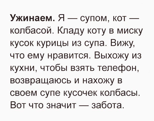 Ужинаем Я супом кот колбасой Кпаду коту в миску кусок курицы из супа Вижу что ему нравится Выхожу из кухни чтобы взять телефон возвращаюсь и нахожу в своем супе кусочек колбасы Вот что значит забота