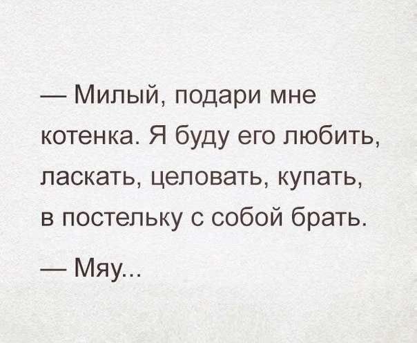 Милый подари мне котенка Я буду его любить ласкать целовать купать в постельку с собой брать Мяу
