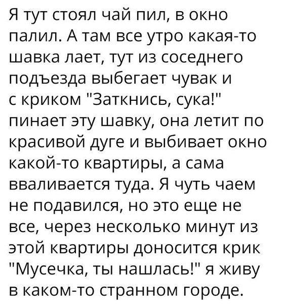 Я тут стоял чай пил в окно палил А там все утро какаято шавка лает тут из соседнего подъезда выбегает чувак и с криком Заткнись сука пинает эту шавку она летит по красивой дуге и выбивает окно какойто квартиры а сама вваливается туда Я чуть чаем не подавился но это еще не все через несколько минут из этой квартиры доносится крик Мусечка ты нашлась я живу в каком то странном городе