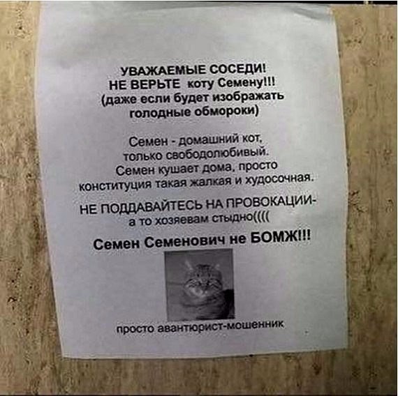УВАЖАЕМЫЕ СОСЕДИ НЕ БЕРЬТЕ ищу Семену _ даже если будет брать 5 1 0601090 _
