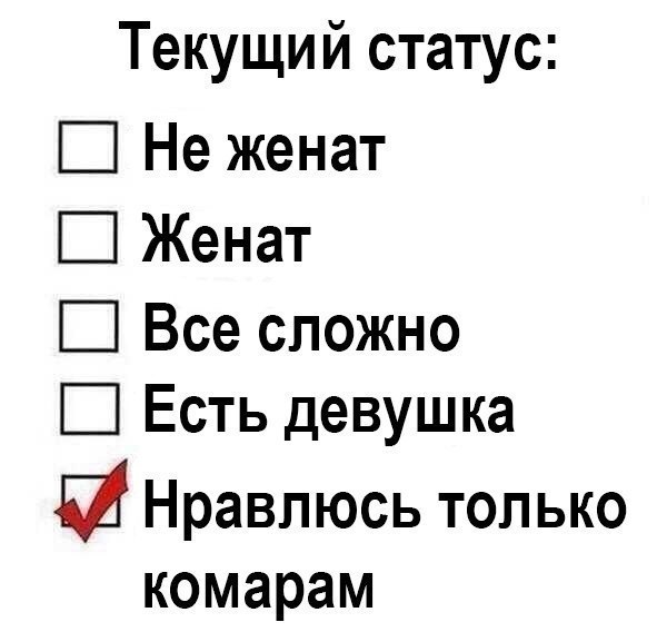 Текущий статус Не женат Женат Ш Все сложно Есть девушка Й Нравпюсь только комарам